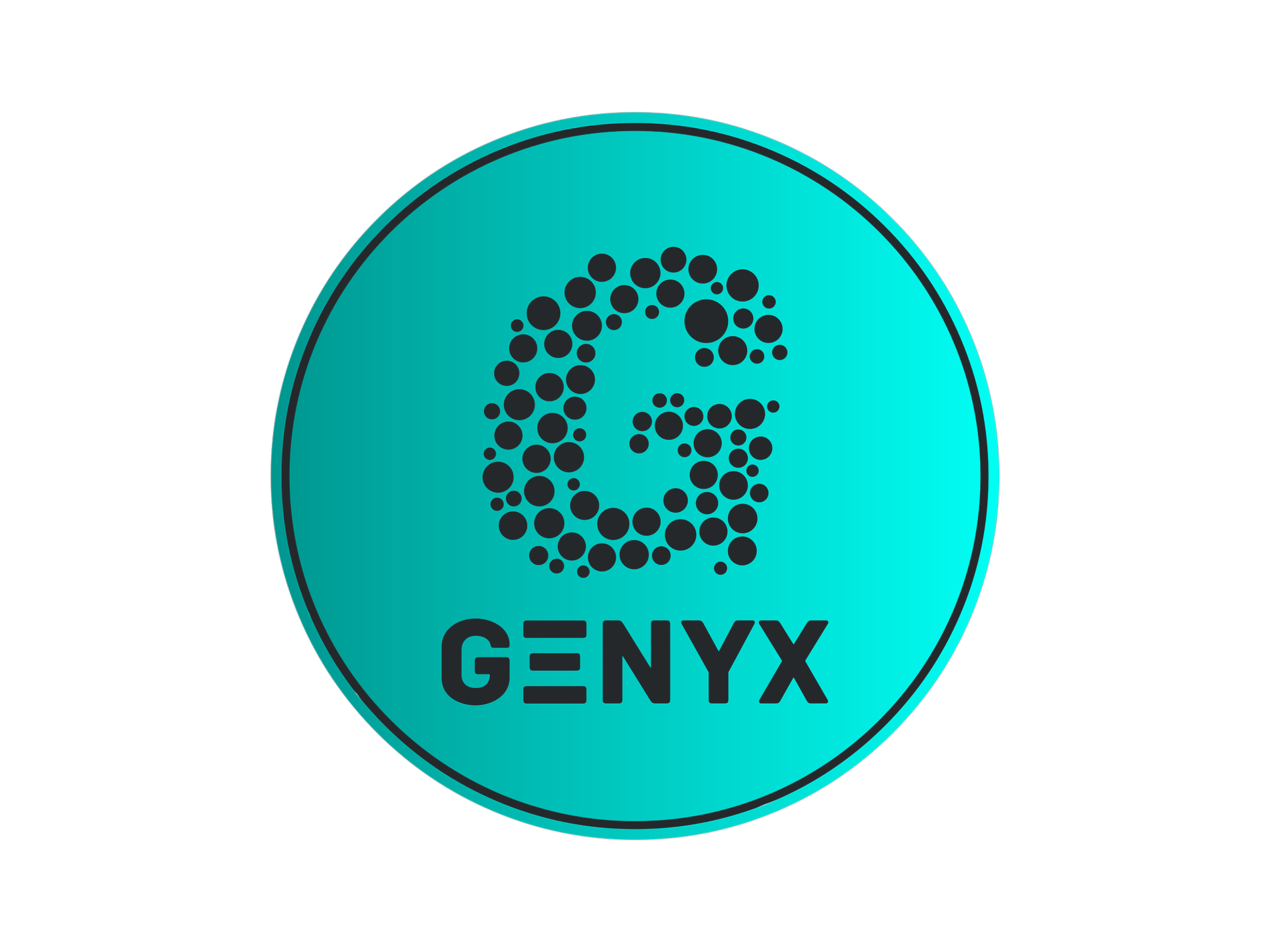 Projet Genyx